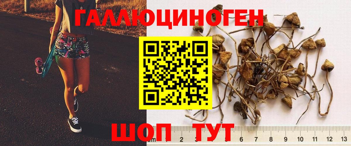 Псилоцибиновые грибы Magic Shrooms Дятьково