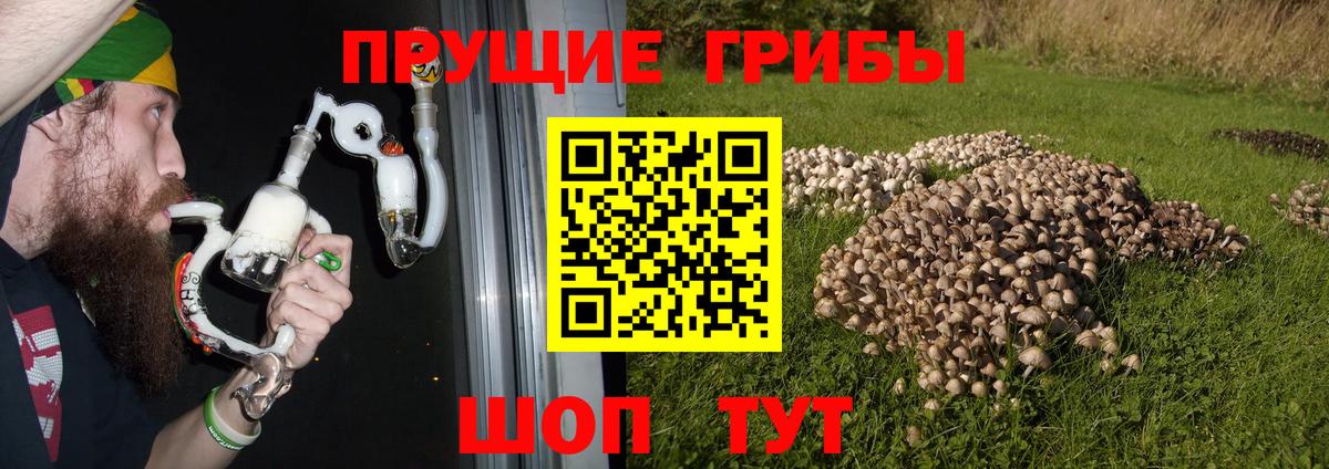Дятьково  Галлюциногенные грибы мухоморы  Галлюциногенные грибы Cubensis  наркошоп  Вход с VPN 