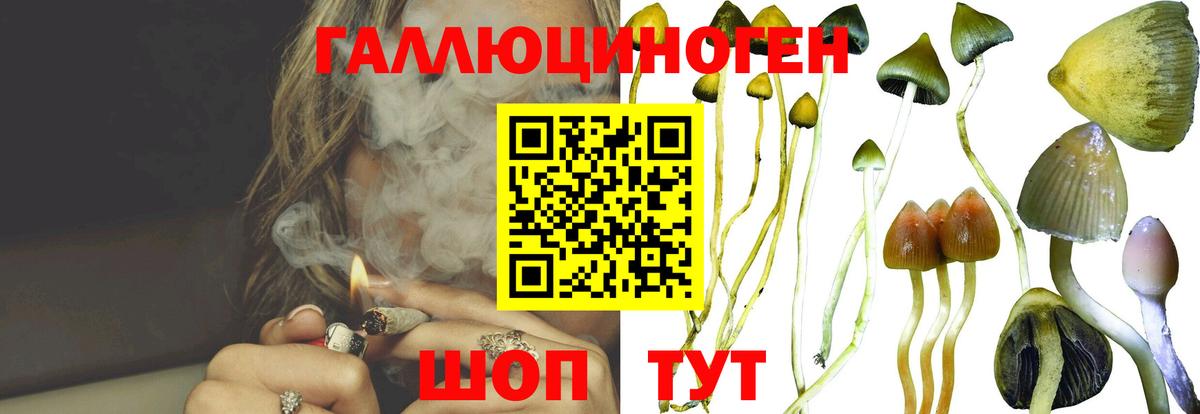 Меф Дятьково